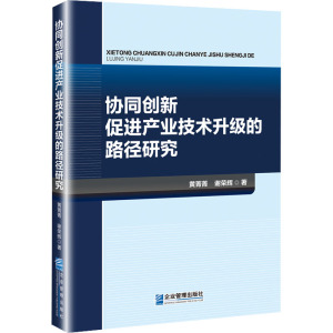 协同创新促进产业技术升级的路径研究