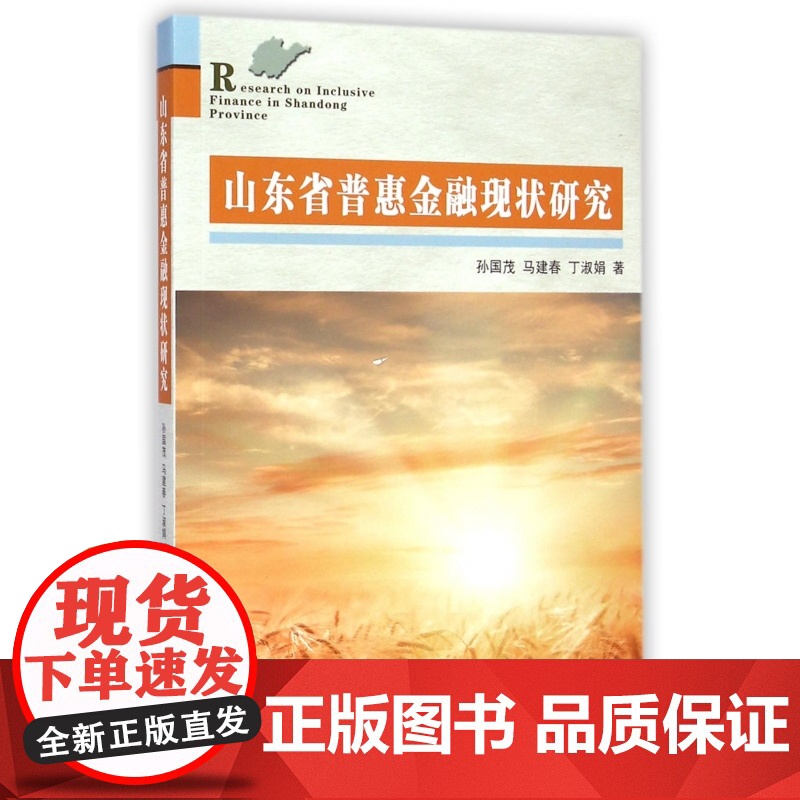 山东省普惠金融现状研究