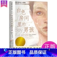 白色房间里的男孩 [正版]一百条裙子国际大奖小说系列全套适合小学生四年级五六年级读物7-10-12岁青少年儿童文学成长励