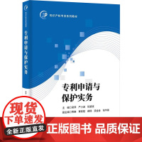专利申请与保护实务 梁萍,严小波,阮碧波;贾静 等 编 知识产权出版社 法律实务 司法案例/实务解析