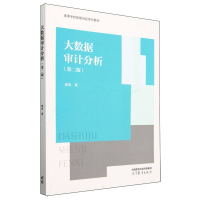 正版新书]大数据审计分析(第二版)樊斌|9787040624205