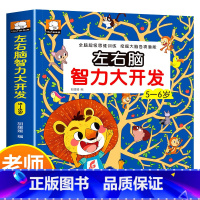 [正版]5-6岁宝宝左右脑智力大开发益智书幼儿园游戏书专注力全脑思维训练书籍幼儿找不同走迷宫书大冒险逻辑左右脑全脑开发