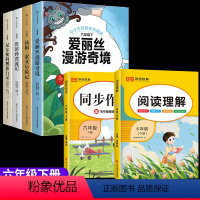 六下快乐读书吧+下册阅读理解+同步作文 全6册 [正版]快乐读书吧六年级下册全套爱丽丝漫游奇境仙境汤姆索亚历险记鲁滨逊孙