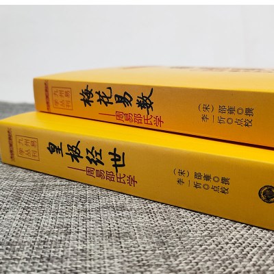 颜系图书-正版图书-周易邵氏学(上下简体横排本)梅花易数+皇极经世梅花易数入门预测讲义占卜易经学古人算卦书