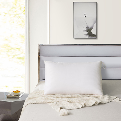 远梦家纺水洗热熔枕枕芯可机洗水洗成人护颈枕头水洗热熔枕48x74CM白色（单个装）48*74cm