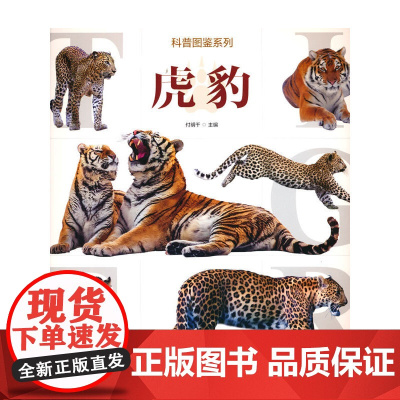 科普图鉴系列 虎豹 上百幅虎、豹的野外实拍图,将虎和豹的狩猎、进食、嬉戏、 休息等真实场景