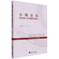 [N]小微企业动态能力形成路径研究-9787308226240