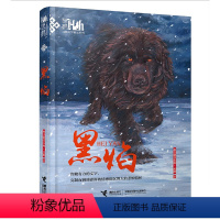 单本全册 [正版]山东暑假打卡2022朝阳读书五年级课外阅读黑焰 黑鹤动物文学精品系列 插图版格日勒其木格长篇小说儿童文