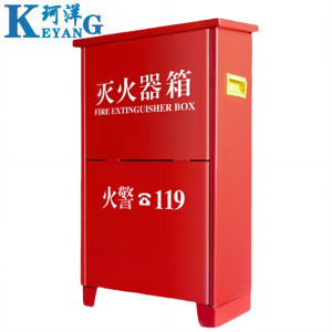 珂洋 灭火器箱 5KG*2 个