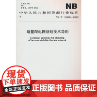 NB/T 10978—2022 增量配电网规划技术导则