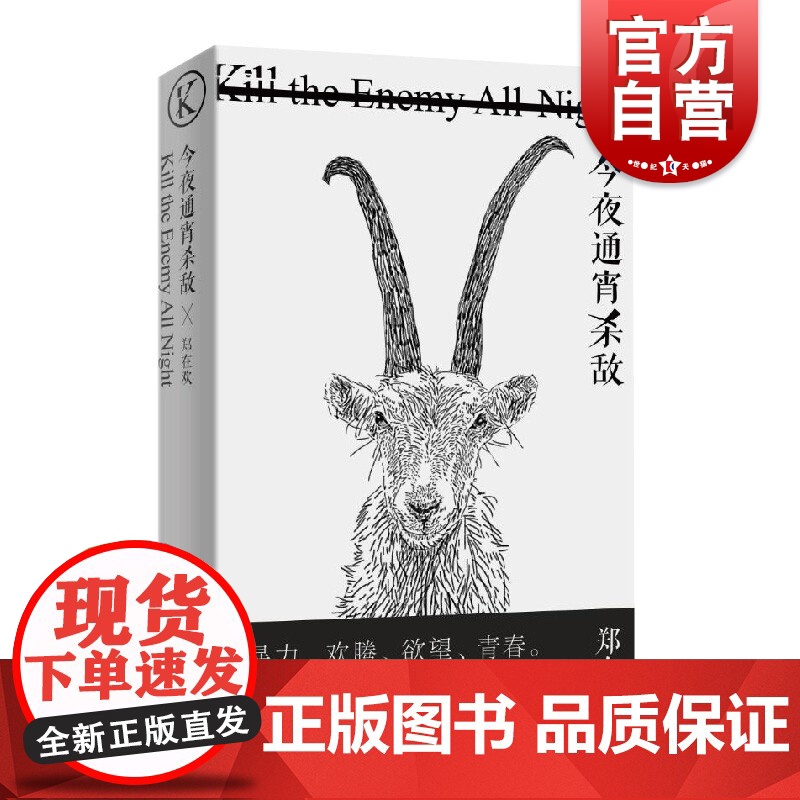 今夜通宵杀敌 郑在欢著 暴力欢腾欲望青春90后的小说故事集 虚构与非虚构小说集 驻马店伤心故事集后续 上海文艺出版社世纪