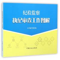 正版新书]纪检监察执纪审查工作图解纪检监察执纪审查工作图解编