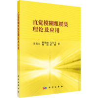 直觉模糊粗糙集理论及应用