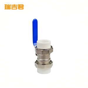 瑞吉君 PPR双热熔球阀 50mm 个