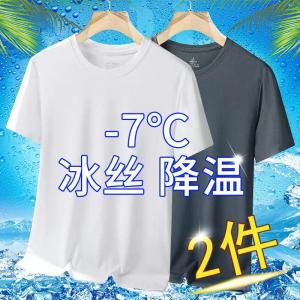 冰丝速干短袖T恤男士夏季薄款透气休闲运动修身圆领衫网眼t1/2件