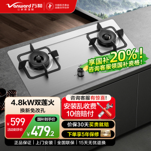 万和4.8kW大火力 家用台式嵌入式燃气灶具 双眼灶 不锈钢 JZY-B9B50(液化气)