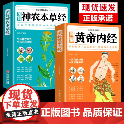 图解黄帝内经原版正版白话文2023年新版彩图版四季养生全书食疗方神农本草经古书笔记中医基础理论入门书籍大全诊断学养生皇帝