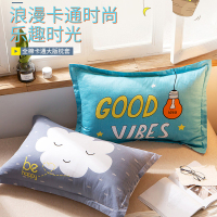 枕套枕头套单人学生宿舍48x74枕芯套一对装春夏秋冬季