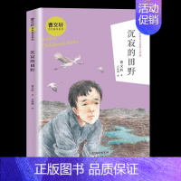 [正版]沉寂的田野曹文轩金色童年系列中国孩子阅读的纯文学作品中国儿童文学成长校园小说彩绘插图少儿读物中小学生课外书读儿童