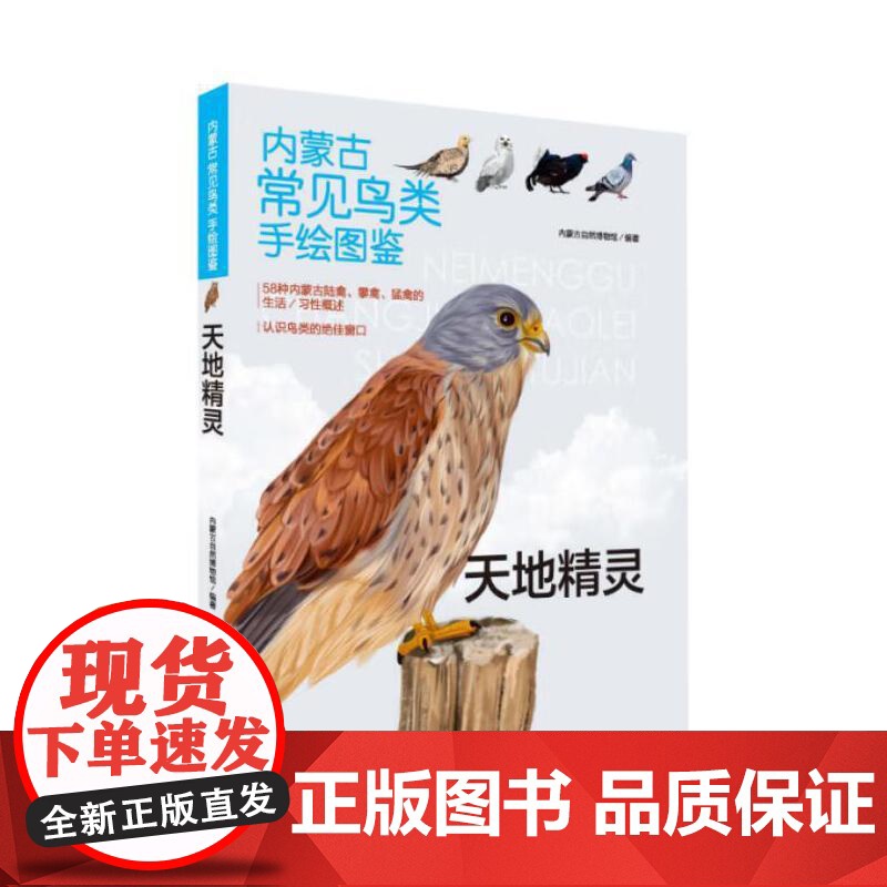 《内蒙古常见鸟类手绘图鉴-天地精灵》