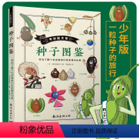 [正版]奇妙图书馆 种子图鉴 植物百科全书 76种植物的种子图鉴 植物大百科 花卉养殖书籍 科普书籍 儿童图画书3-6