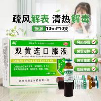 [10盒装]振源 双黄连口服液 10ml*10支 疏风解表 清热解毒 外感风热所致的发热 咳嗽 咽痛