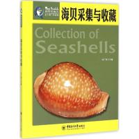 正版新书]海贝采集与收藏冯广明9787567008434