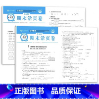 全2册-语文(人教版)+数学(北师大版)期末活页卷 三年级上 [正版]王朝霞试卷三四五六年级上册下册王朝霞期末活页卷一页
