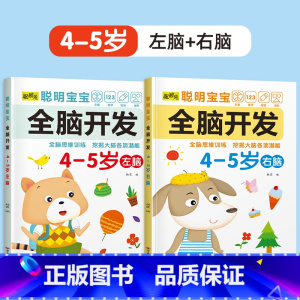 2册[4-5岁]左+右脑开发 [正版]儿童左右脑开发训练全脑益智逻辑思维书连线迷宫数学游戏书2-3-4-5-6岁儿童专注