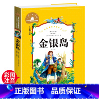 金银岛 [正版]金银岛 一二三年级暑假寒假阅读课外书阅读书目 儿童小学生版彩图注音版 适合6-8-10岁少儿阅读经典文