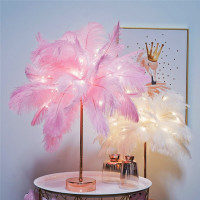 林檎结婚纪念日送老婆实用女朋友生日女生闺蜜实用浪漫情人节送女友圣诞节创意礼品羽毛灯LY96翝送女朋友老婆生日礼物送女朋友