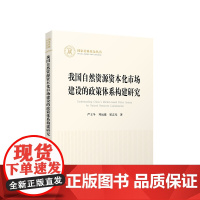 正版 我国自然资源资本化市场建设的政策体系构建研究 严立冬著 人民出版社