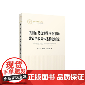 正版 我国自然资源资本化市场建设的政策体系构建研究 严立冬著 人民出版社