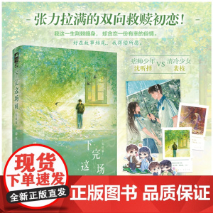 下完这场雨 2
