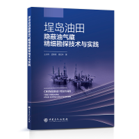 正版新书]埕岛油田隐蔽油气藏精细勘探技术与实践王志伟 武群虎