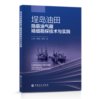 正版新书]埕岛油田隐蔽油气藏精细勘探技术与实践王志伟 武群虎