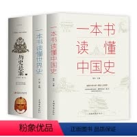[正版]3册 一本书读懂中国史+一本书读懂世界史+历史悬案 上下五千年历史古代近代简史知识读物中国通史世界历史通俗读物