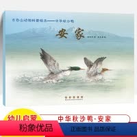 安家 [正版]长白山动物科普绘本 中华秋沙鸭 安家孵化成长迁徙 陈凤华 王志春 鸟中大熊猫动物童话趣味科学原创图画书科普