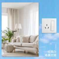 冀电中康 开关 10A 个