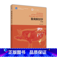 畜禽解剖学 3版 [正版]出版社直供畜禽解剖学(第3版)9787040461879