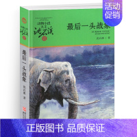 最后一头战象 [正版]黑熊舞蹈家沈石溪小学四年级五年级全集全套书浙江少年儿童出版社版完整版动物小说大王品藏书系生课外阅读