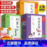 句式训练大全 三年级上 [正版]2023秋版53基础练五三小学一二三四五六年级上下册语文专项阅读真题60篇句式训练积累与