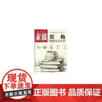 零基础素描结构实用教程