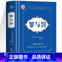罪与罚 [正版]神秘岛海底两万里格兰特船长的儿女八十天环游地球+地心游记 凡尔纳科幻小说全集经典世界名著 中文全译本外国