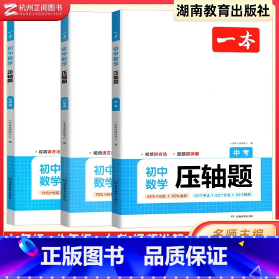 数学 九年级 [正版]2025年初中数学压轴题七年级 有理数方程初一数学必刷题上下册通用 数学专题训练解题方法数学答题模