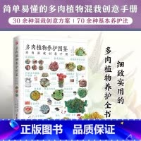 [正版]多肉植物养护图鉴 肉肉混载创意手册 多肉选苗混栽 阳台种花养殖 新手养多肉装饰养护技巧指南书籍