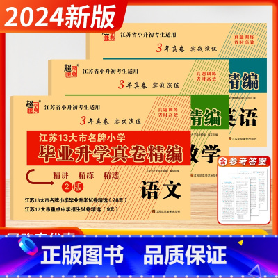 [2024]语数英 (2版) 套装3本 小学升初中 [正版]2024新版江苏13十三大市小学毕业升学真卷精编江苏省小升初