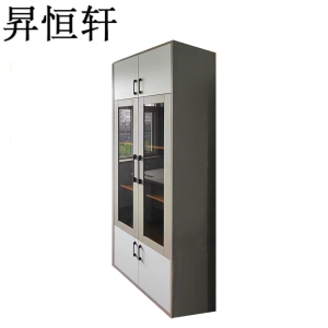 昇恒轩 文件柜 办公文件柜 800*550*2400mm /个