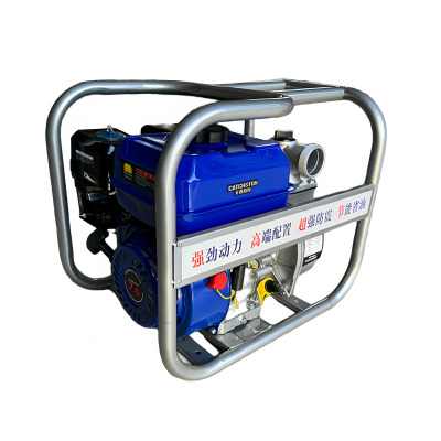 卡西斯顿 抽水泵 2寸 台