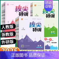 物理-人教版 九年级下 [正版]2025版拔尖特训初中七八九年级上册下册数学科学浙江语文英语物理化学人教版浙教版外研版初